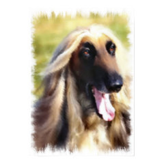 Afghan Hound Gifts of Art print