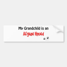 Afghan Hound Grandchild Bumper Sticker