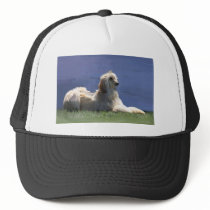 Afghan Hound Mesh Hat