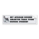Afghan Hound Honor Student bumpersticker
