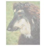 Afghan Hound Letterhead