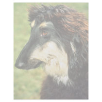 Afghan Hound Letterhead
