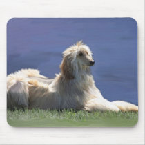 Afghan Hound mousepads