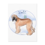 Afghan Hound Noel Postcard