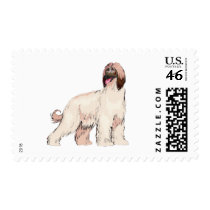 Afghan Hound Postage Stamps