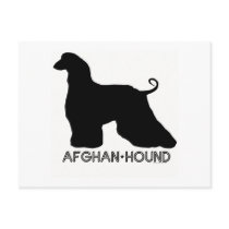 Afghan Hound Postcard
