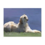 Afghan Hound Postcards
