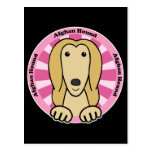 Afghan Hound Postcard