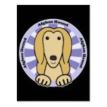 Afghan Hound Postcards