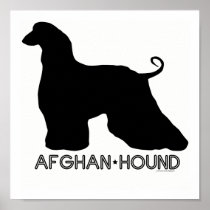 Afghan Hound Print