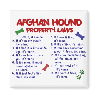 Afghan Hound Property Laws 2 Refrigerator Magnet by poochloverstuff