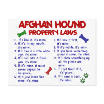 Afghan Hound Property Laws 2 Postcards