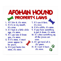 Afghan Hound Property Laws 2 posters by poochloverstuff Afghan Hound Property Laws 2 posters