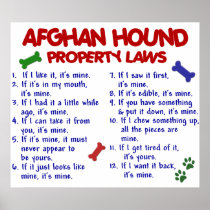 Afghan Hound Property Laws 2 Poster