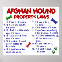 Afghan Hound Property Laws 2 Poster