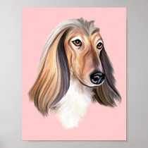 Afghan Hound Red HS Posters