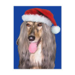 Afghan Hound Santa Claus Post Cards