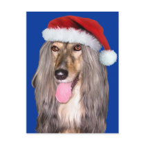Afghan Hound Santa Claus postcards by DanesRUs Afghan Hound Santa Claus postcards