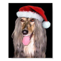 Afghan Hound Santa Claus posters by DanesRUs Afghan Hound Santa Claus posters