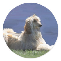 Afghan Hound Round Sticker