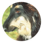 Afghan Hound Round Sticker