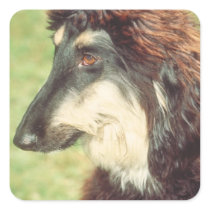 Afghan Hound Stickers