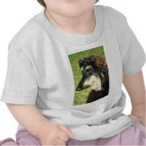 Afghan Hound Tee Shirts