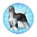 Afghan Hound shirt