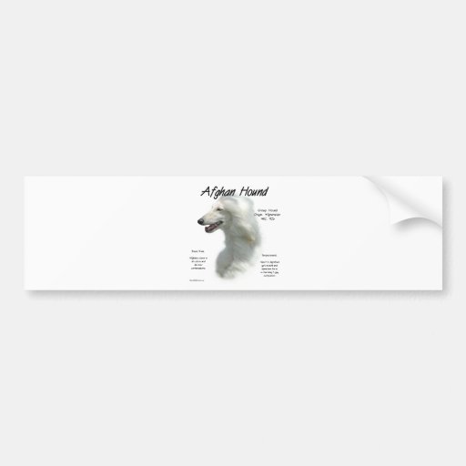 Afghan Hound (wht) History Design Bumper Sticker