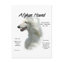 Afghan Hound (wht) History Design postcards by GreyWolfCreation Afghan Hound (wht) History Design postcards