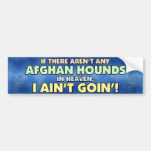 Afghan Hounds in Heaven Bumper Sticker