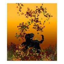afghan leaf fun posters