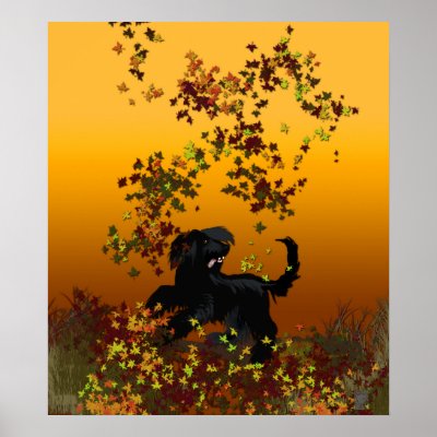 afghan leaf fun poster by wolffreeborn
