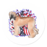 Afghan Patriot Round Sticker