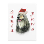 Afghan Santa Paws Post Cards