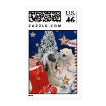 Afghan Trip to the North Pole Postage