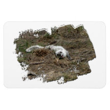 AFOTG Arctic Fox on the Ground Rectangular Magnet
