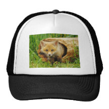 Africa animal mesh hat