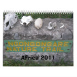 Africa Calendar 2011