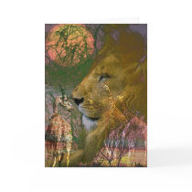 Africa(card)