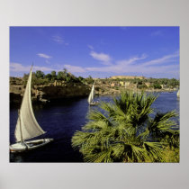 Africa, Egypt, Upper Egypt, Aswan. Feluccas 2