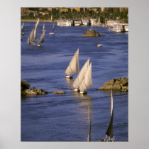 Africa, Egypt, Upper Egypt, Aswan. Feluccas