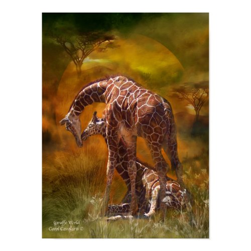 Africa - Giraffe World Art Poster/Print print