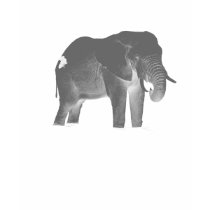 Africa is Sexy t-shirts