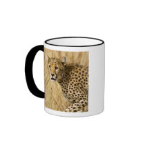 Africa. Kenya. Cheetah at Samburu NP. Coffee Mug