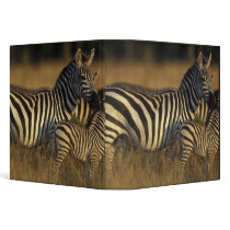 Africa, Kenya, Masai Mara Game Reserve. Plains 3 Ring Binders