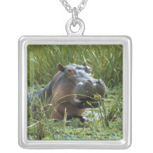 Africa, Kenya, Masai Mara NR. A mother hippo and Jewelry