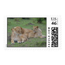 Africa Kenya Safari postage