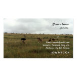 Africa Kenya wild animals Business Card Template