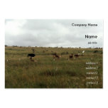 Africa Kenya wild animals Business Card Templates